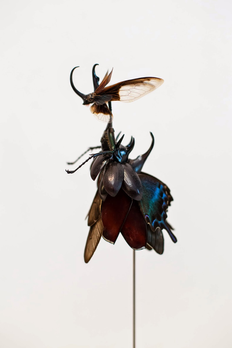 Illustration for article titled The Most Majestic Fairy Sculptures We've Seen Are Made Out Of Insects